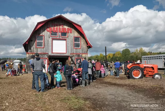 Auto-cueillette de potirons à la ferme Quinn