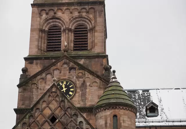 Les cigognes à Munster en Alsace