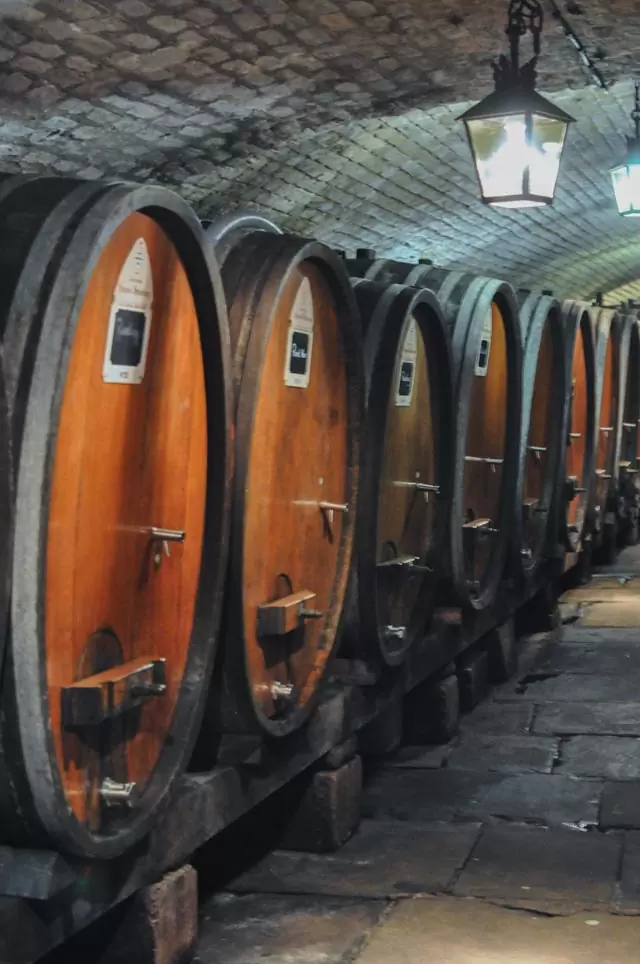Les caves des hospices de Strasbourg