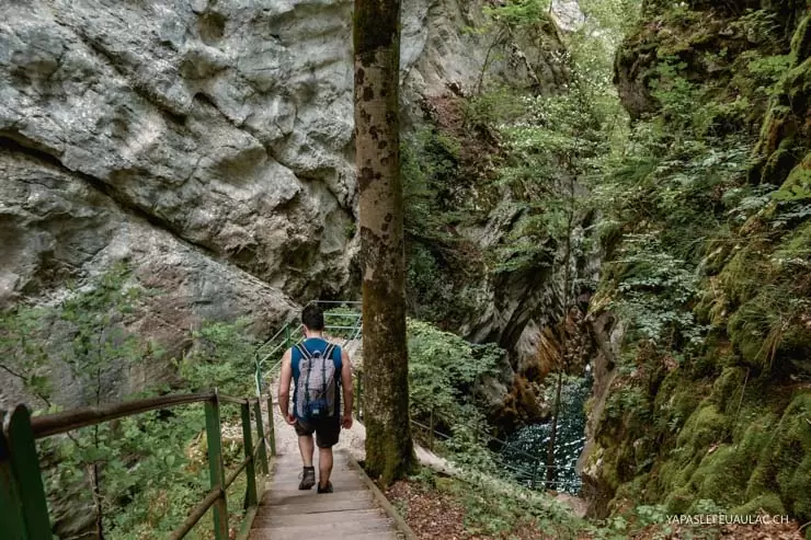 Rando à ne pas manquer à Neuchâtel (Suisse), les gorges de l'Areuse