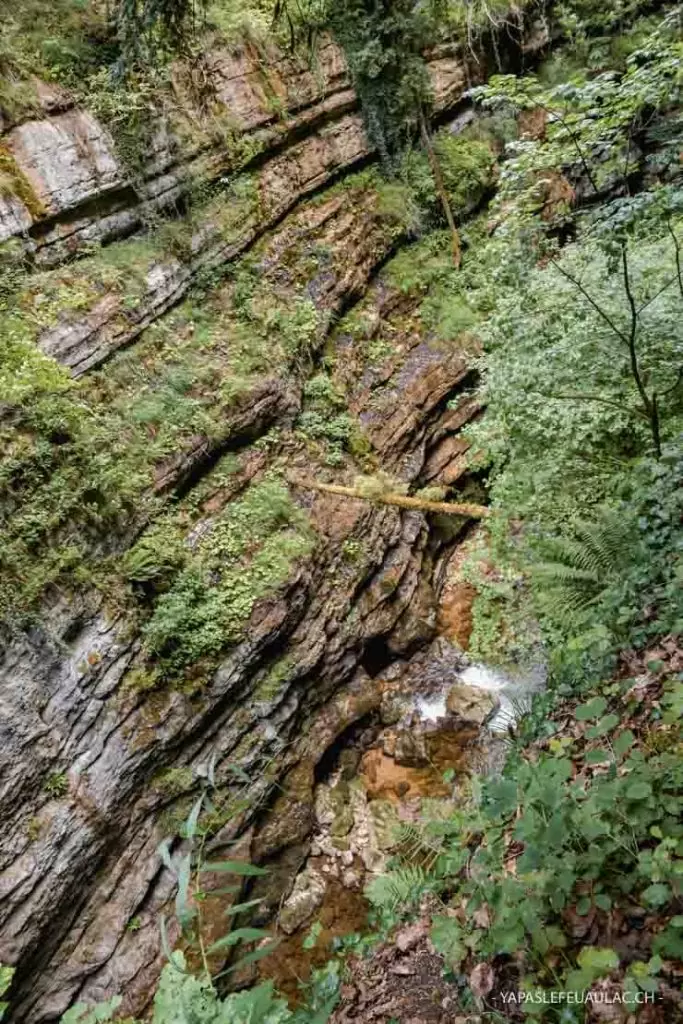 Vue sur les gorges