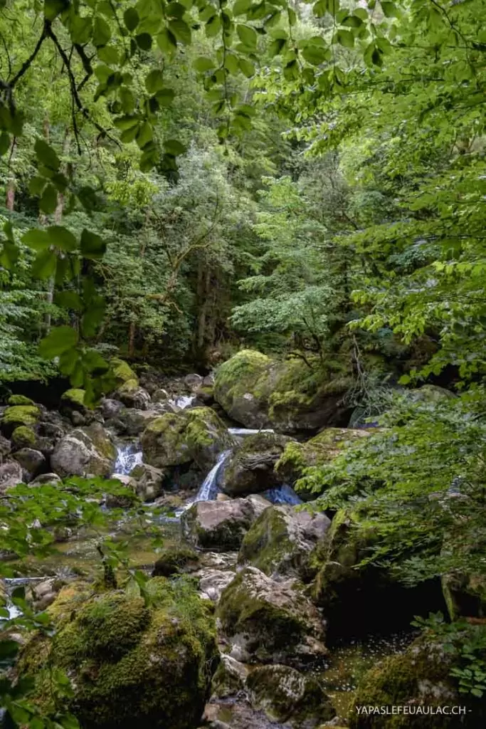 Rando à Neuchâtel - Chemin des Gorges de l'Areuse
