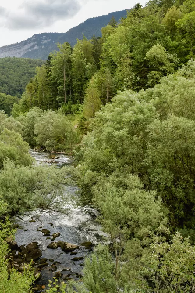 Areuse: La rivière a l'air sauvage au départ de la balade dans les gorges