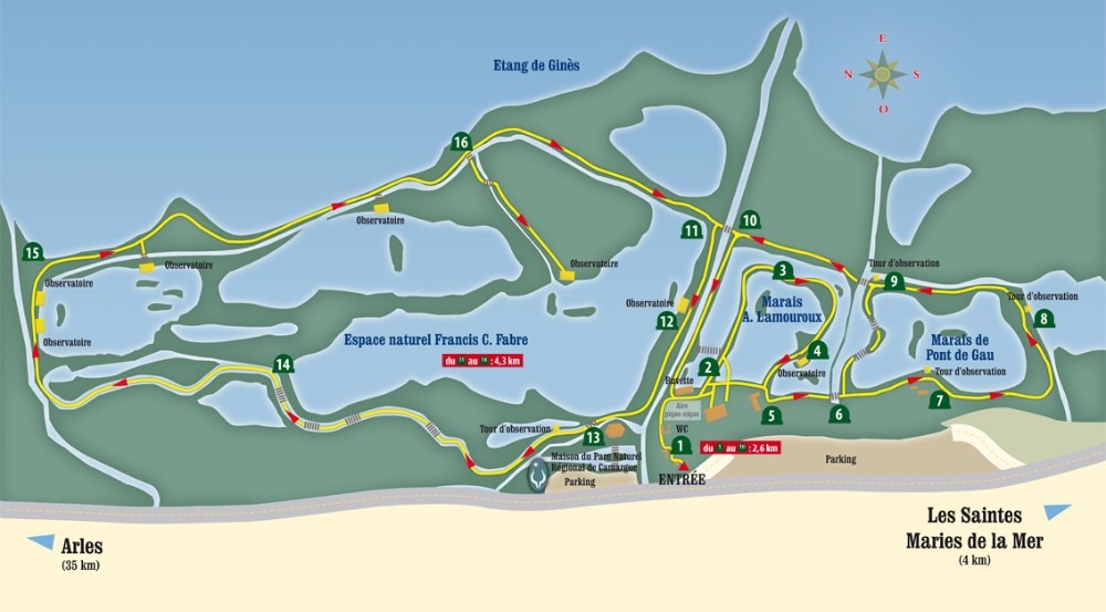 Carte Pont de Gau - Réserve naturelle en camargue où observer les flamants roses